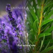 Load image into Gallery viewer, Lavender & Tea Tree Shampoo Bar