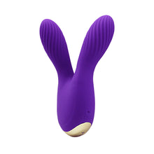 Load image into Gallery viewer, Exposed