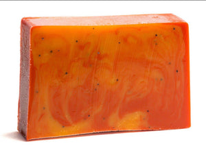 Orange Cranberry Poppyseed Soap